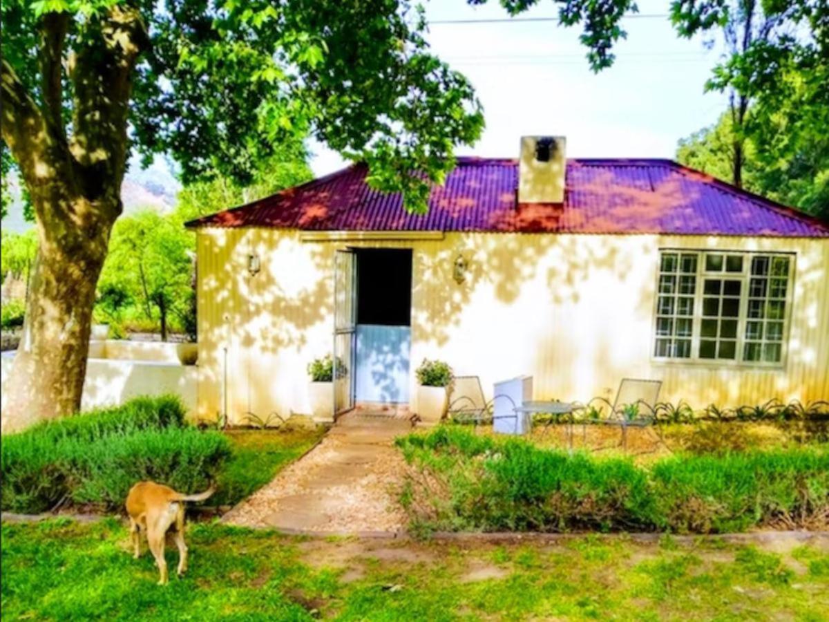 Cabernet Cottage Be Still And Know Franschhoek Luaran gambar