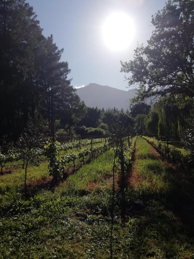 Cabernet Cottage Be Still And Know Franschhoek Luaran gambar