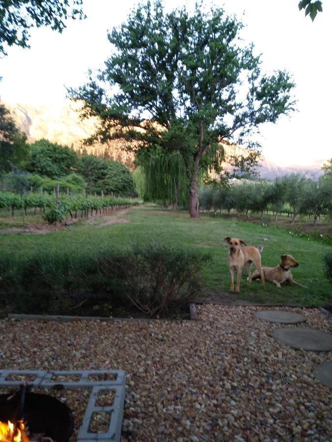 Cabernet Cottage Be Still And Know Franschhoek Luaran gambar