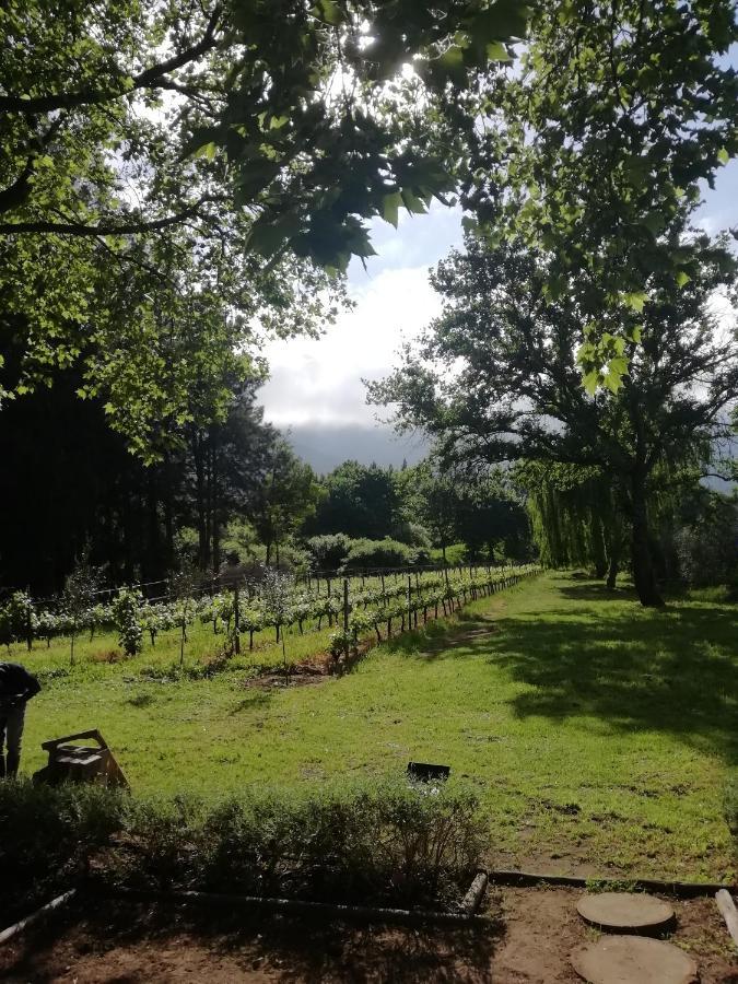 Cabernet Cottage Be Still And Know Franschhoek Luaran gambar