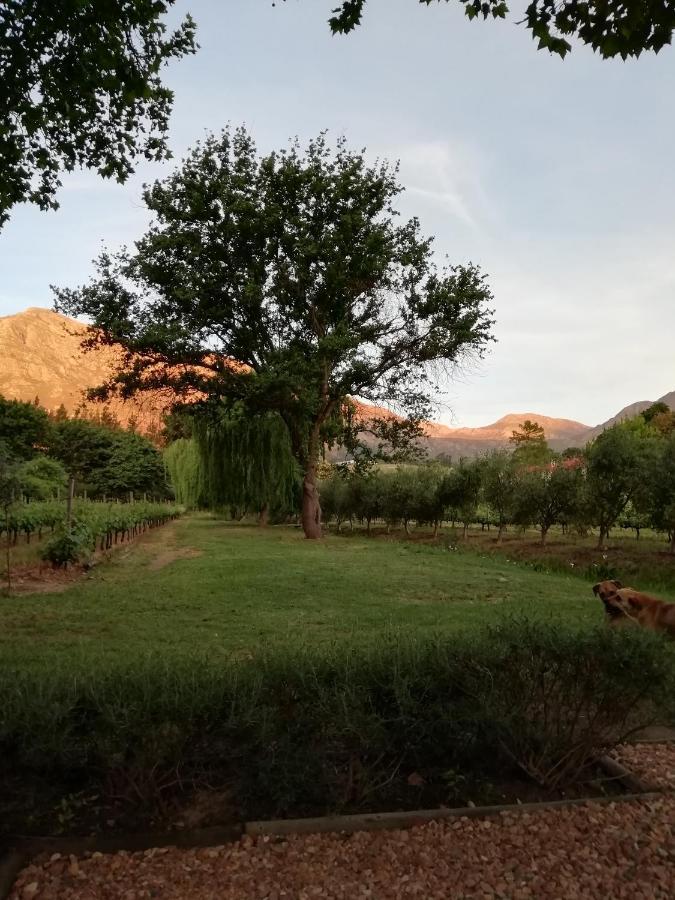Cabernet Cottage Be Still And Know Franschhoek Luaran gambar