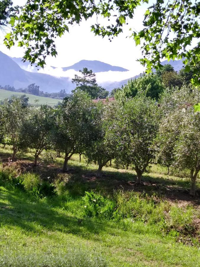 Cabernet Cottage Be Still And Know Franschhoek Luaran gambar