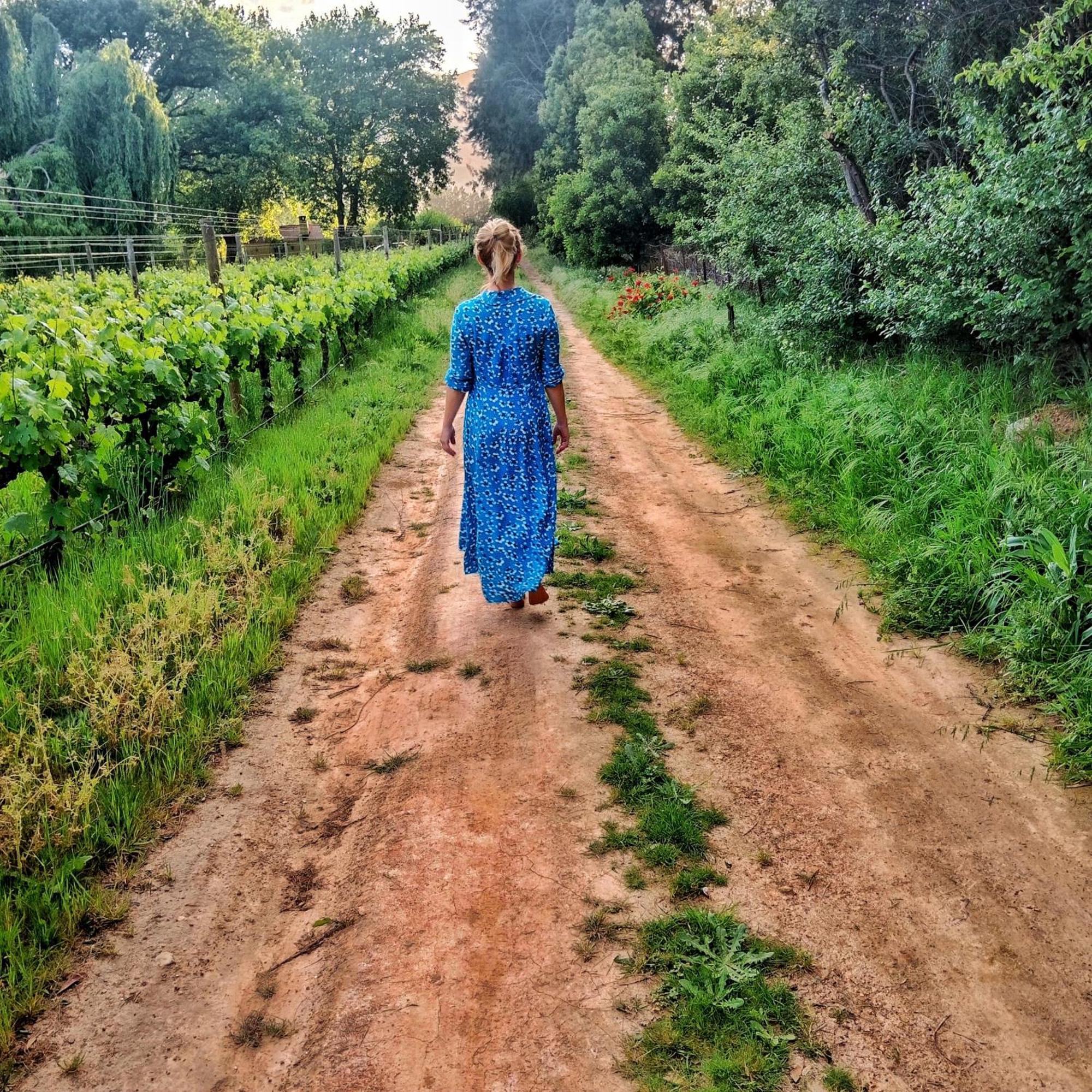 Cabernet Cottage Be Still And Know Franschhoek Luaran gambar